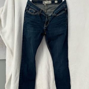 BKE Payton Skinny Jean